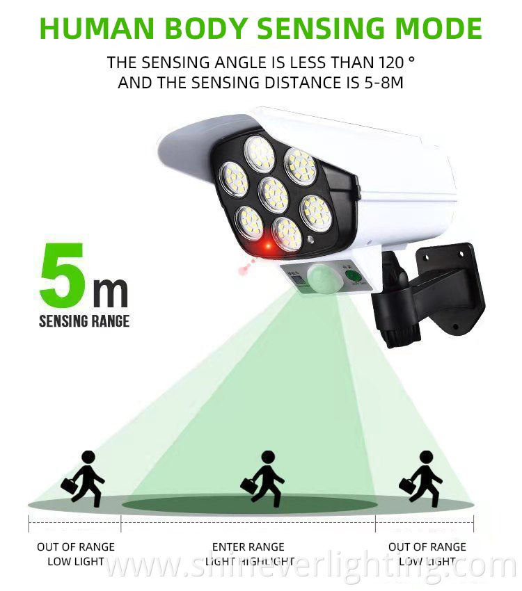 Detector-activated LED Wall Light